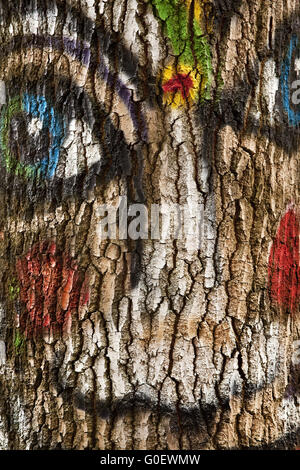 Painted face on a tree, Vlotho, Germany Stock Photo