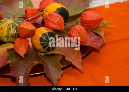Autumnal table decoration with ornamental gourds Stock Photo