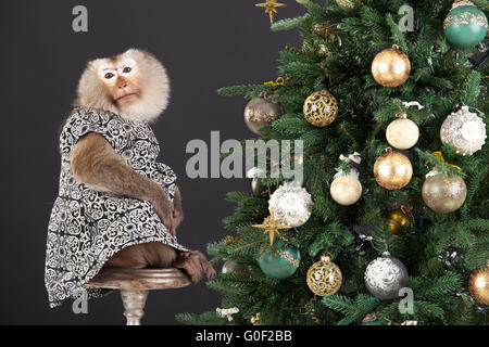 Little Monkey And The New Year's Tree Stock Photo