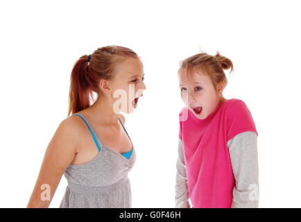 Two sisters screaming at each other. Stock Photo