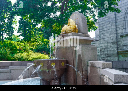 Saint Joseph's Oratory's fountain in the back. Stock Photo