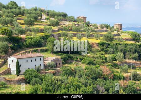 Near surroundings - landscape picturesque Tuscan town of Montalcino Stock Photo