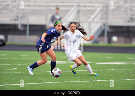 Opposing players pivot in unison as they pursue a ball near midfield during a high school soccer match. USA. Stock Photo