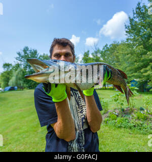 Fisherman holding Big pike Stock Photo