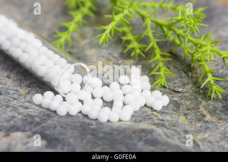 alternative medicine with homeopathic pills Stock Photo
