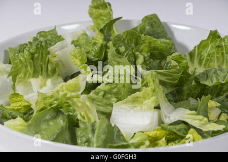 Romaine lettuce Stock Photo
