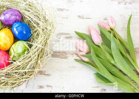 Pink tulips and Easter eggs in a nest Stock Photo