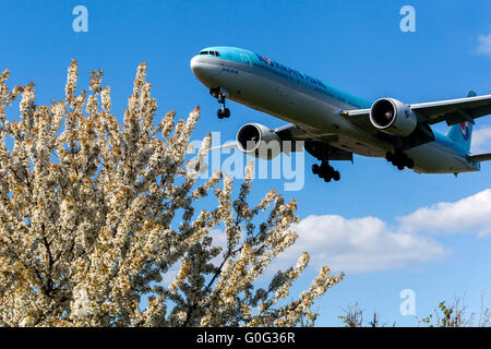 Plane Boeing 777 Korean Air approaching for landing Prague, Czech Republic Stock Photo