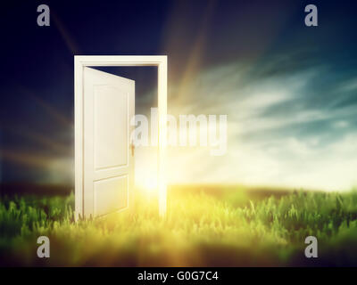 Open door on the green field. Conceptual new way Stock Photo