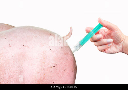 Buttock of pork and a hand holding syringe. Stock Photo