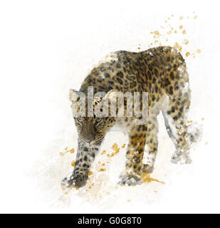 Digital Painting of Leopard on white background Stock Photo - Alamy
