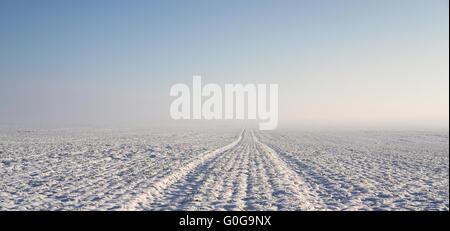 tractor tracks on a field in winter Stock Photo