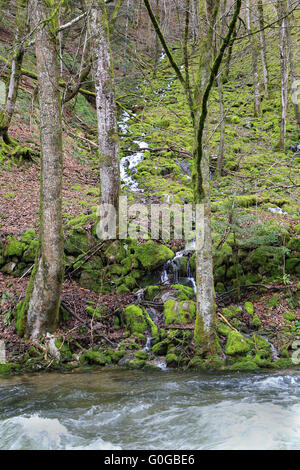 Valley of the river Wehra in the Black Forest