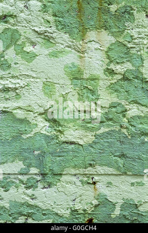 green wall Stock Photo