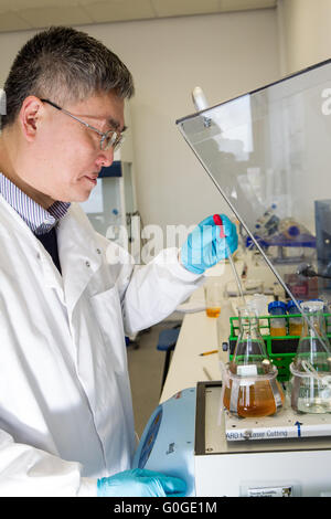 Scientists examining samples Stock Photo