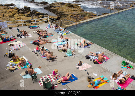 aerial view of sunbathers at Wylie Baths in Sydney, New South Wales, Australia Stock Photo