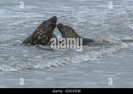 Sounds of love Stock Photo