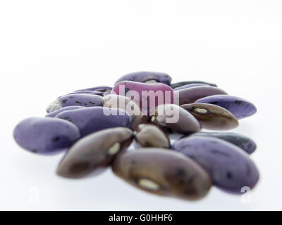 climbing beans, fire beans on white background Stock Photo