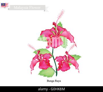 bunga raya flowers and leaf illustration on black background stock photo alamy bunga raya flowers and leaf illustration on black background stock photo alamy