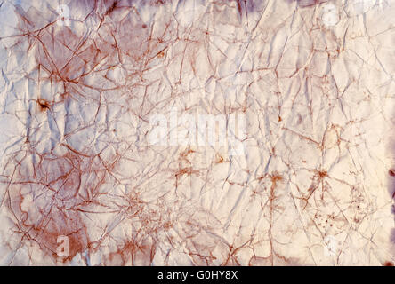Organic Stained Background, Sandy  Pastel Tones Stock Photo