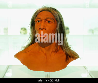 Modell, subject, mockup, Neandertal, Natural History Museum of Basel, Basel, Switzerland / (Homo neanderthalesis) Stock Photo