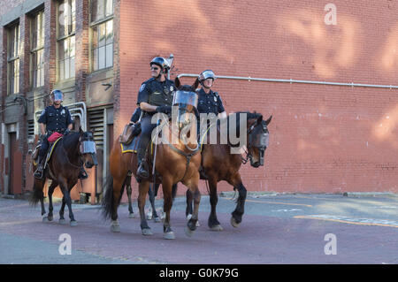 Seattle, WA, USA. 1st May, 2016. Mounted police officers patrol back ally during Anti-Capitalist/Police protest march. Maria S./Alamy Live News Stock Photo