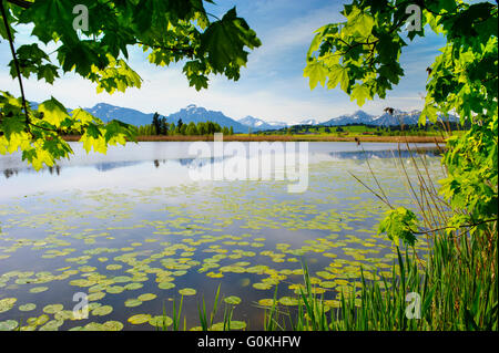 panorama landscape in Bavaria with lake and meadow Stock Photo