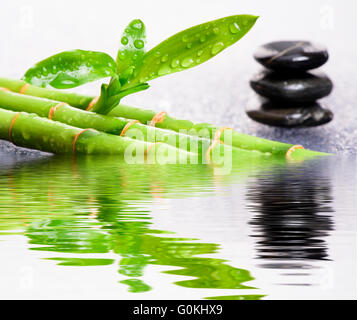 Zen garden with mirroring and reflection in water Stock Photo