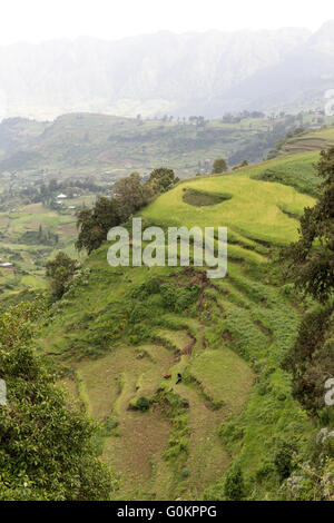 Ankober Woring Mesche Kebele, North Shewa,  Ethiopia, October 2013: steep slopes have been partly terraced. Stock Photo