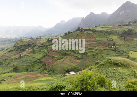 Ankober Woring Mesche Kebele, North Shewa,  Ethiopia, October 2013: steep slopes have been partly terraced. Stock Photo