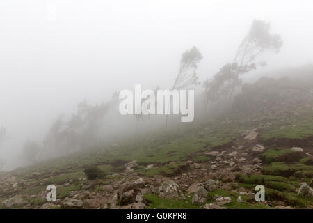 Ankober Woring Mesche Kebele, North Shewa,  Ethiopia, October 2013: Taking a rest with Seleshe at the top of the pass.   Photograph by Mike Goldwater Stock Photo