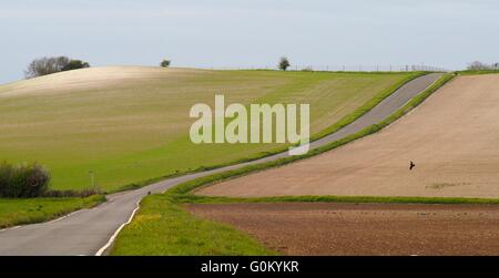 A road cutting through a landscape of ploughed fields with a crow flying Stock Photo
