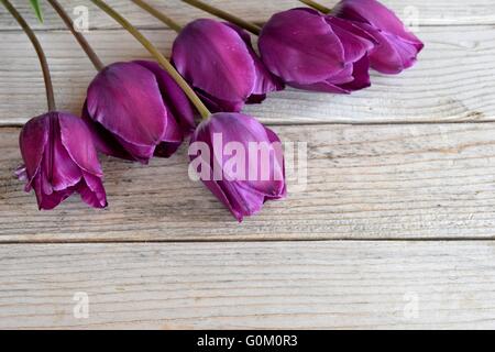 image of tulip flowers on wooden background Stock Photo