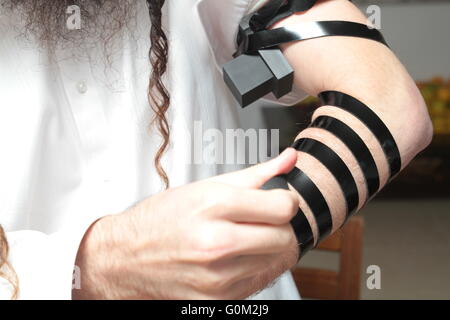Jewish Man wrapped in tefillin pray . A religious orthodox Jew with arm-tefillin on his left hand prays Stock Photo