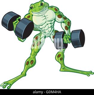 Vector cartoon clip art illustration of a tough muscular weightlifting frog curling or lifting dumbbells. Stock Vector