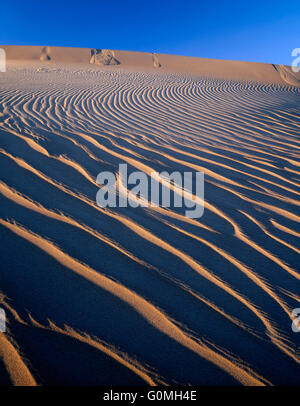 USA, California, Death Valley National Park, Ripple patterns in sand dunes at Mesquite Flats are defined by evening light. Stock Photo