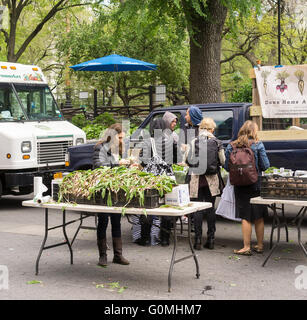 The sought after relative of the onion, ramps, are featured front and center at a stand in the Union Square Greenmarket in New York on Wednesday, April 27, 2016 The vegetable, which can be eaten raw, inspires a cultish following due to their scarcity and limited season. Ramps are not cultivated but are foraged, probably by little ramp elves. (© Richard B. Levine) Stock Photo