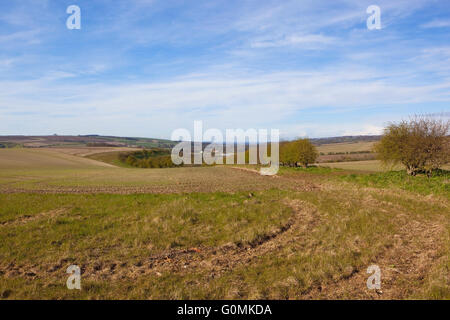 The scenic landscape of the Yorkshire wolds in springtime with hedgerows and arable fields under a cloudy blue sky. Stock Photo