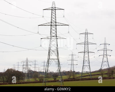 electricity pylons in devon , uk, power, lines, transformer, network ...