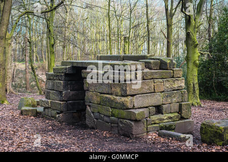 hide in the woods Yorkshire  Ray Boswell Stock Photo