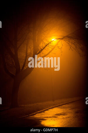 A street light on a misty evening, Worcestershire, UK Stock Photo