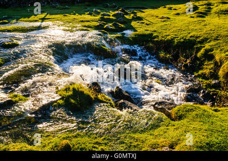 Stream disappears underground at Water Sinks near Malham Tarn on the Pennine Way in the Yorkshire Dales National Park England Stock Photo
