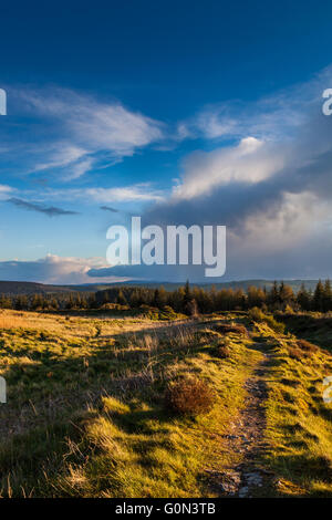 Looking towards Clun Valley across the Iron Age ramparts of Bury Ditches Hill Fort, near Clunton, Clun, Shropshire, England Stock Photo