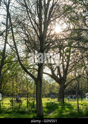 Sport in the spring sunshine in a London park Stock Photo