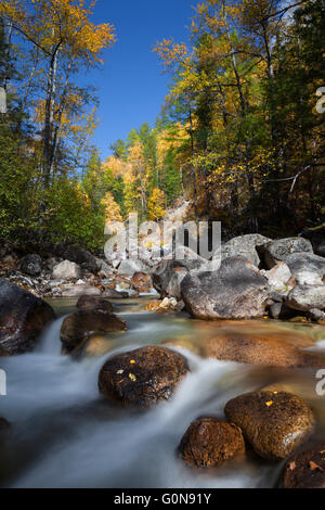 river among fall woods in mountain Stock Photo