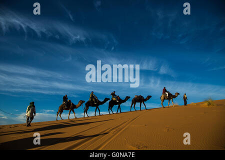 Camel caravan tourists in the Erg Chebbi sand dunes Stock Photo