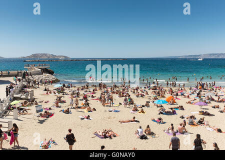People on the beach at Anse des Catalans, Marseille, Bouches-du-Rhone, Provence-Alpes-Cote d'Azur, France Stock Photo
