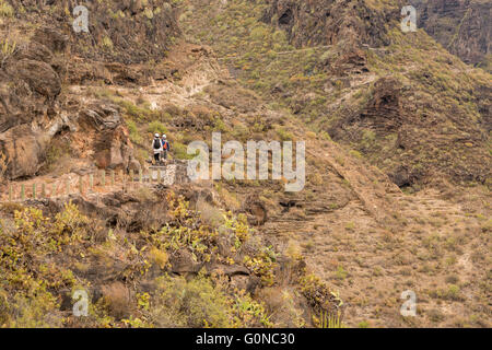 Walkers setting out on the Barranco del Infierno walk in Adeje wearing safety helmets against possible injury from falling rocks Stock Photo