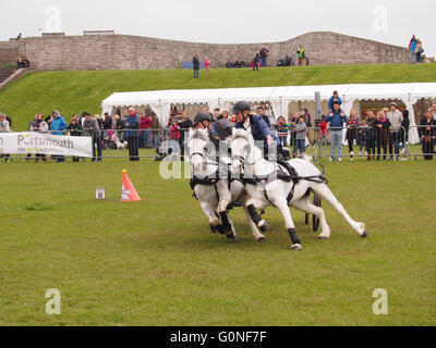 A competitor competes in the Scurry racing championships at the Rural and seaside show in Southsea, Portsmouth. Stock Photo