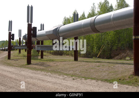 Alaskan Oil Pipeline along the Dalton Highway.  This photo is typical of the construction of the pipeline being raised. Stock Photo